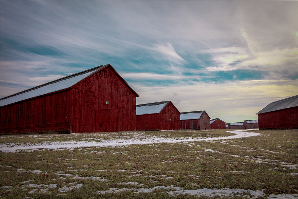 Barns_031