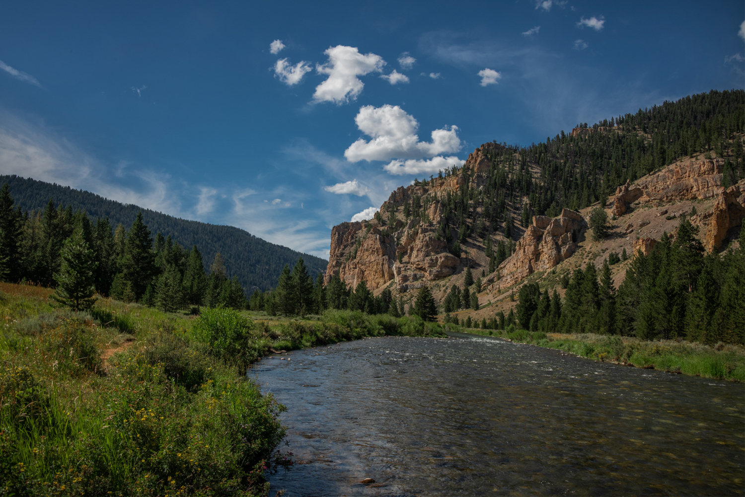 Yellowstone NP