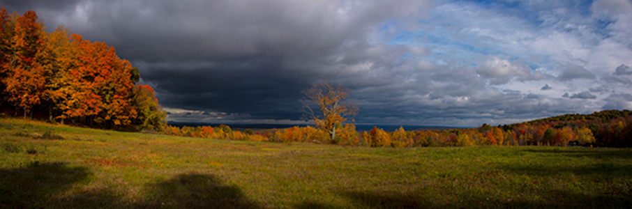 Fall_Vibes_NE