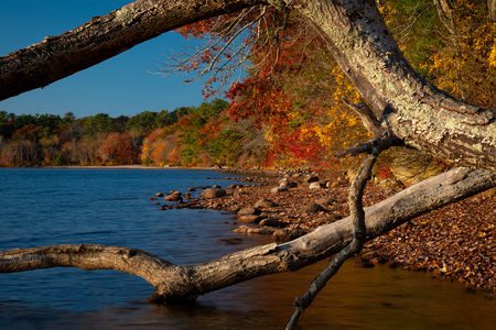 Yawgoog_Pond